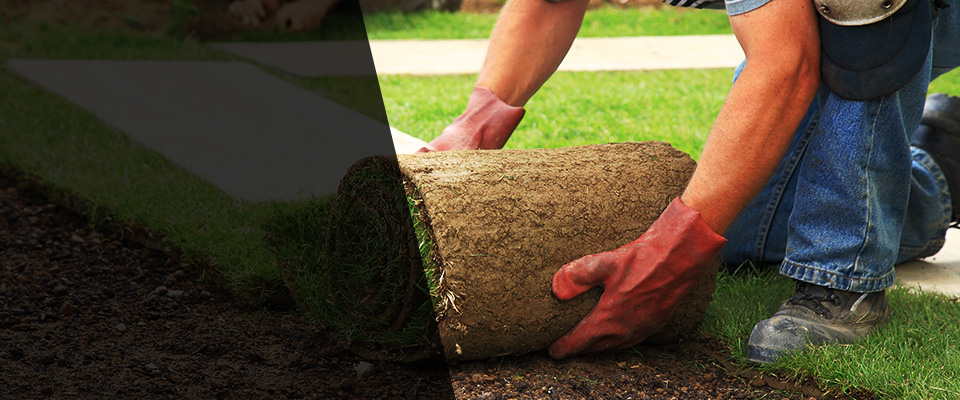 Plymouth Landscapers